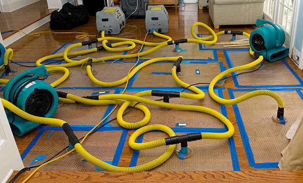 Professional Structural Drying And Dehumidification technician working in Seaford, DE